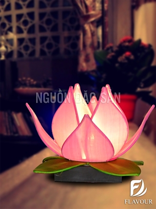 DBA010s Đèn hoa sen trong đời sống tâm linh Việt Nam