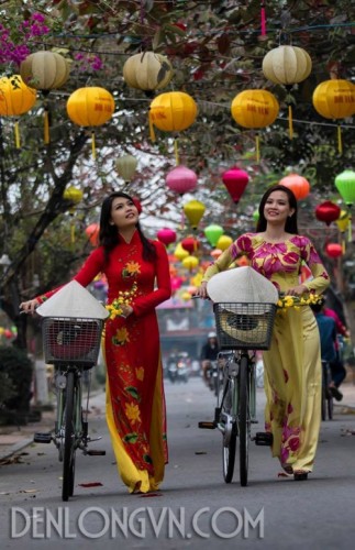 Đèn lồng Việt | Đèn lồng Hội An